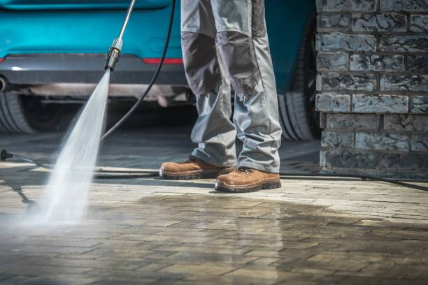 Best Sidewalk and Walkway Cleaning  in Nashotah, WI