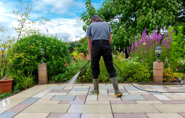 Best Roof Washing  in Nashotah, WI