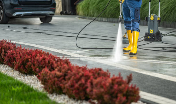 Best Gutter Cleaning  in Nashotah, WI